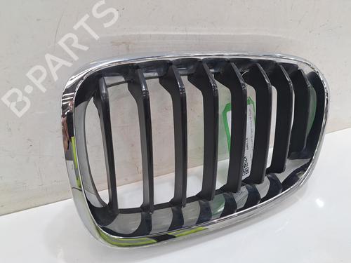 Grille BMW 1 (F20) 116 d | BP29058707C40 