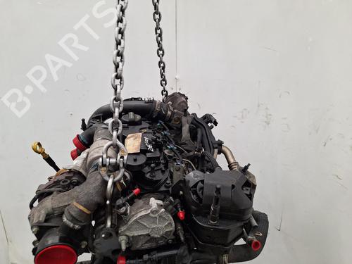 Engine FORD FOCUS III 1.5 TDCi | BP38728203M1 - Image 6