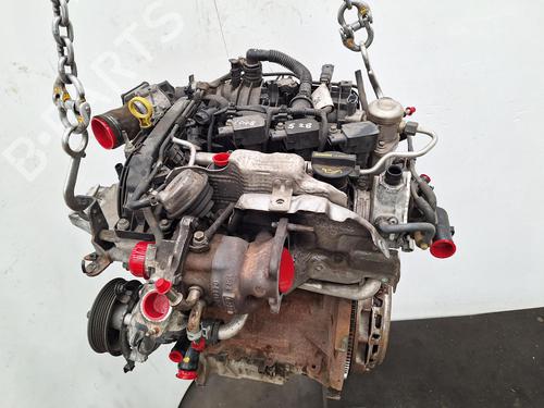 Engine FORD FIESTA VI (CB1, CCN) 1.0 EcoBoost | BP34206318M1  - Image 6