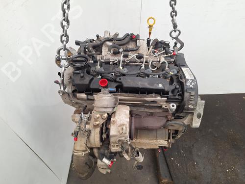 Engine AUDI A3 Sportback (8VA, 8VF) 2.0 TDI | BP39176745M1 - Image 5