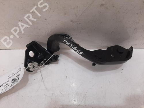 Hinge/Door check strap JAGUAR I-PACE (X590) EV400 AWD | BP30516920C146