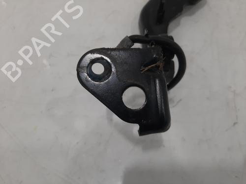 Hinge/Door check strap JAGUAR I-PACE (X590) EV400 AWD | BP29162778C146 