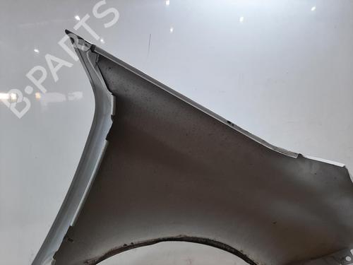 Left front fenders CITROËN C4 Picasso II 1.6 HDi 90 | BP29060411C41 