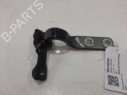 Used Hinge/Door check strap Hinge/Door check strap BMW X6 (G06, F96) xDrive 30 d Mild-Hybrid (286 hp) 34178720 34178720