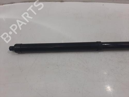 Shock absorber spring NISSAN X-TRAIL III (T32_, T32R, T32RR) 1.6 dCi (T32) | BP29444545C152 