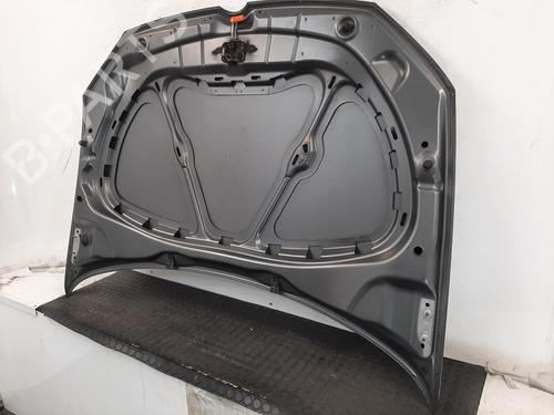 Hood VW POLO V (6R1, 6C1) 1.2 | BP28069480C1 