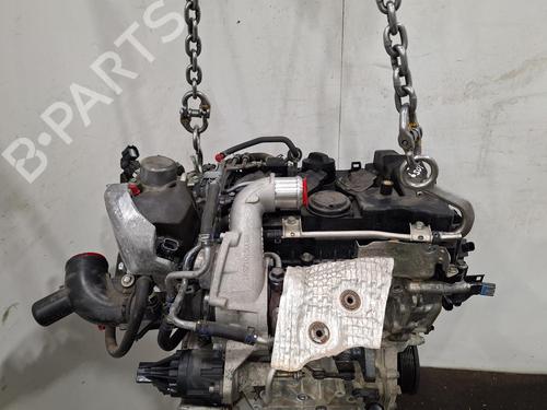 Engine HONDA CIVIC X Hatchback (FC_, FK_) 1.0 VTEC (FK6) | BP38486879M1 - Image 6