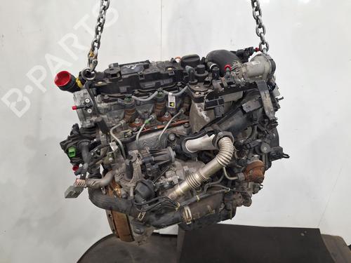 Engine PEUGEOT 2008 I (CU_) 1.6 HDi | BP29703947M1 