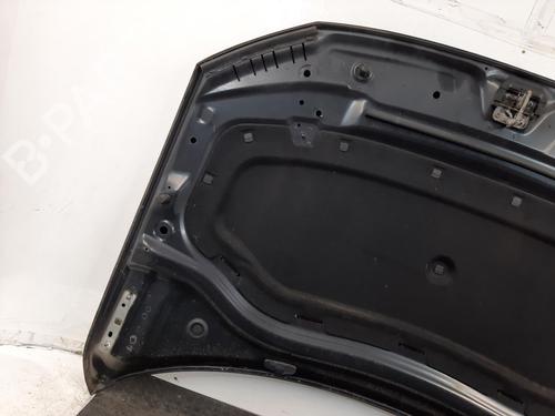 Motorhjelm VW TIGUAN (AD1, AX1) 2.0 TDI 4motion | BP29444663C1 
