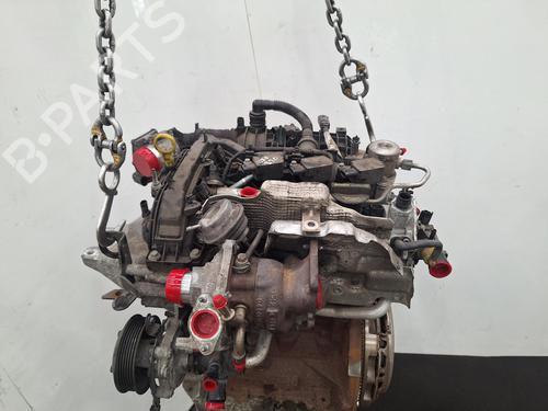 Motor FORD FIESTA VI (CB1, CCN) 1.0 EcoBoost | BP29742364M1 