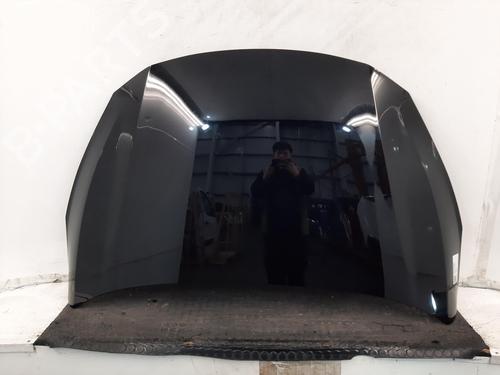 Used Hood FORD FIESTA VII (HJ, HF) 1.0 EcoBoost (101 hp) 32120554