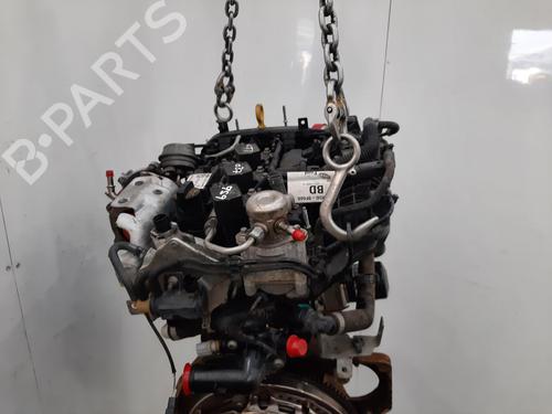 Engine FORD FIESTA VII (HJ, HF) 1.0 EcoBoost | BP31341836M1 