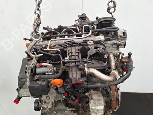 Engine VW GOLF VI (5K1) 1.6 TDI | BP36879330M1  - Image 6