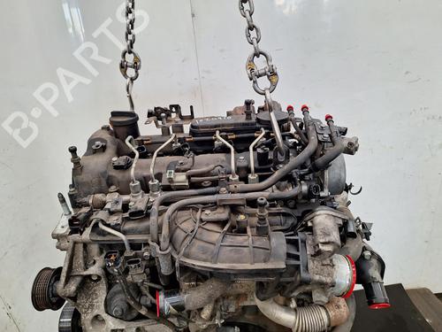 Engine KIA SPORTAGE III (SL) 2.0 CRDi AWD | BP27481245M1