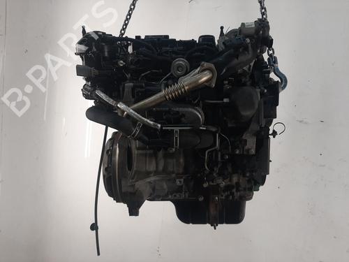 Used Engine FORD ECOSPORT 1.5 EcoBlue TDCi (95 hp) 26743963