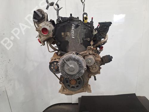 Used Engine FORD RANGER (TKE) 2.0 EcoBlue 4x4 (170 hp) 31033195