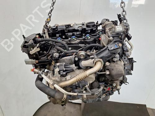 Engine FORD FOCUS III 1.5 TDCi | BP33699639M1 - Image 3