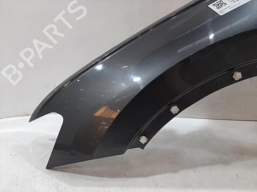 Left front fenders VW TIGUAN (AD1, AX1) 2.0 TSI 4motion | BP29524555C41 