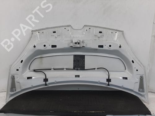 Hood RENAULT KANGOO Express (FW0/1_) 1.5 dCi 90 (FW0G, FW05, FW08, FW11) | BP28275313C1 