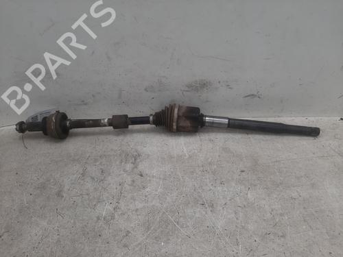 BP29235931O1 main image