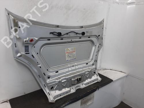 Hood FIAT DOBLO Bus (263_) 1.4 (263AXA1A) | BP29417865C1 