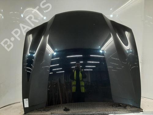 Used Hood Hood 38446221 38446221