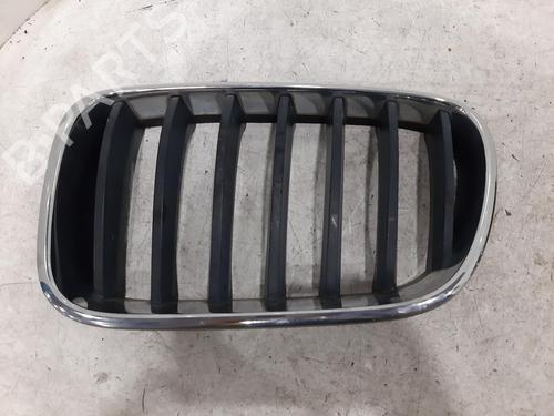 Grille BMW X3 (F25) xDrive 20 d | BP26776259C40 