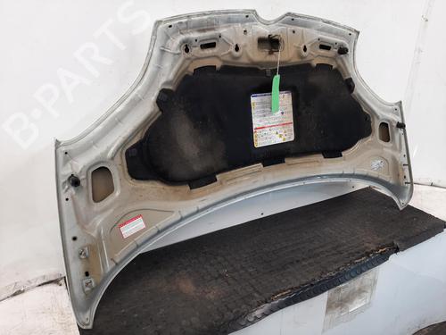 Hood FIAT PANDA (312_, 319_) 1.2 (312PXA1A) | BP29398368C1 