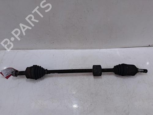 Other FIAT 500 (312_) 1.3 D Multijet (312AXB1A) | BP30494911O1 