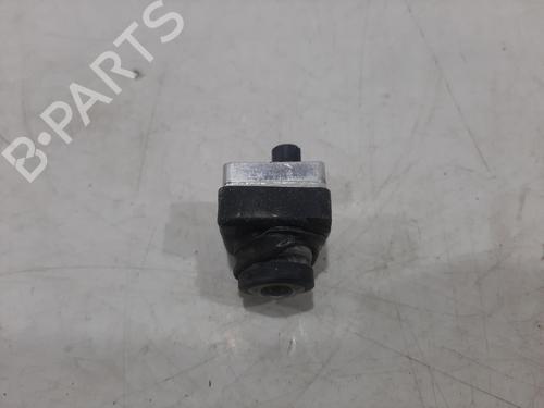 Kamera LAND ROVER RANGE ROVER IV (L405) 4.4 SDV8 4x4 | BP29922526E14