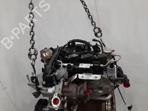 Engine FORD FIESTA VII (HJ, HF) 1.0 EcoBoost | BP31361416M1 