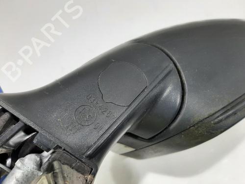 Lusterko boczne lewe SKODA FABIA II (542) 1.2 | BP30789558C26