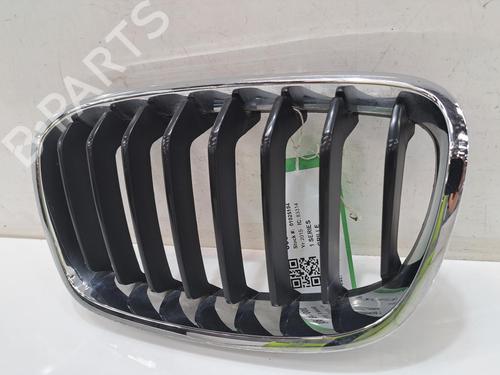 Grille BMW 1 (F20) 116 d | BP29058707C40 