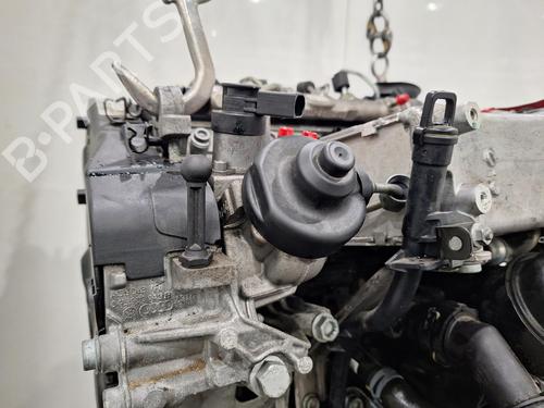 Engine AUDI A5 (F53, F5P) 2.0 TDI quattro | BP29553547M1 