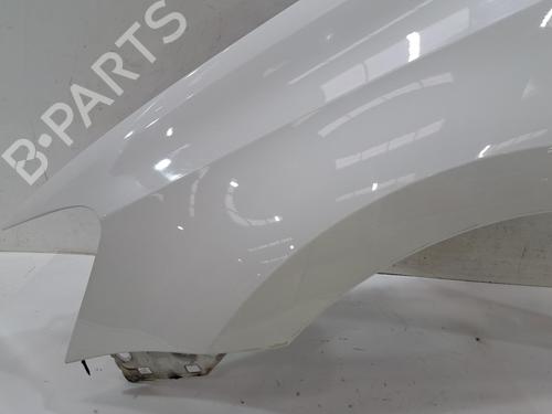 Left front fenders VW POLO V (6R1, 6C1) 1.2 | BP29809881C41