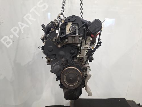Used Engine FORD C-MAX II (DXA/CB7, DXA/CEU) 1.6 TDCi (115 hp) 30285661