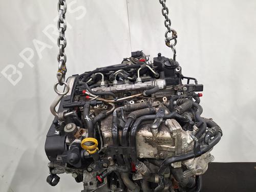 Engine VW GOLF VII (5G1, BQ1, BE1, BE2) 1.6 TDI | BP30057617M1