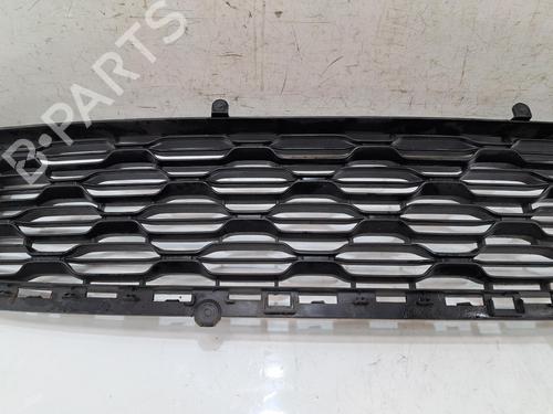 Grill CITROËN C3 II (SC_) 1.0 VTi 68 | BP38003397C40 - Image 3