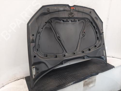 Hood VW POLO V (6R1, 6C1) 1.2 | BP29059973C1 