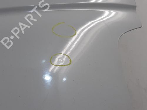 Left front door RENAULT MASTER III Van (FV) 2.3 dCi 130 FWD (FV0M, FV0Y, FV0J, FV02, FV03) | BP29882239C2