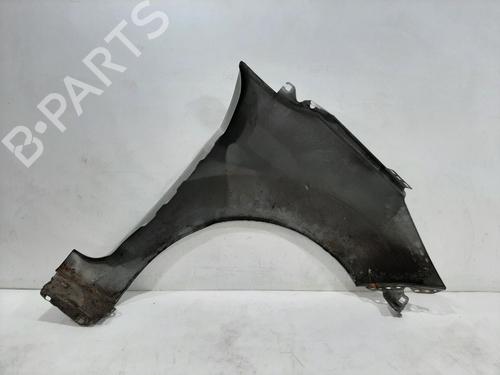 Left front fenders FORD FIESTA VI (CB1, CCN) 1.25 | BP29417386C41 