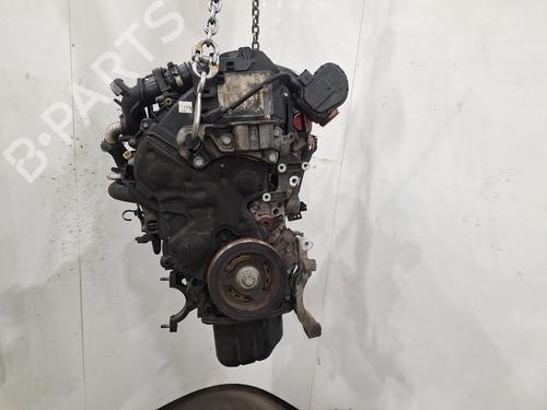 Motor FORD C-MAX II (DXA/CB7, DXA/CEU) 1.6 TDCi (115 hp) 31033447