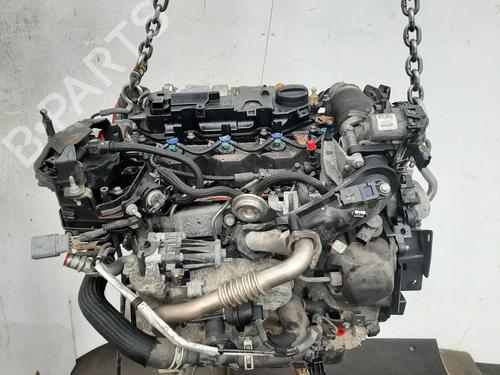 Motor FORD FIESTA VI (CB1, CCN) 1.5 TDCi | BP26863526M1