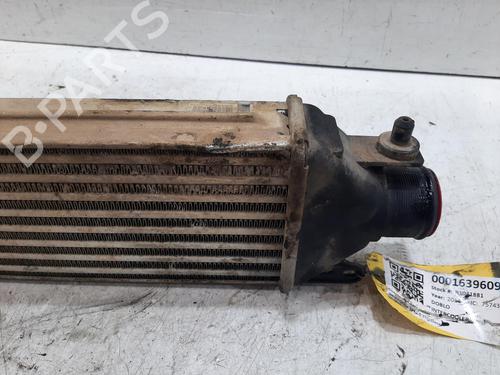 Intercooler FIAT DOBLO Platform/Chassis (263_) 1.3 D Multijet | BP32422635M30