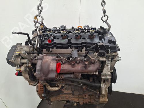 Engine KIA SPORTAGE III (SL) 1.7 CRDi | BP36697607M1 - Image 3