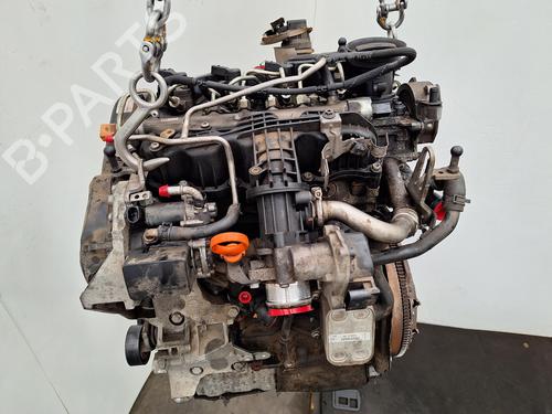 Engine SKODA FABIA II (542) 1.6 TDI | BP36951059M1  - Image 6