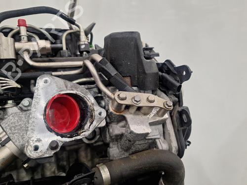 Engine FORD FOCUS IV (HN) 1.5 EcoBlue | BP31928066M1 