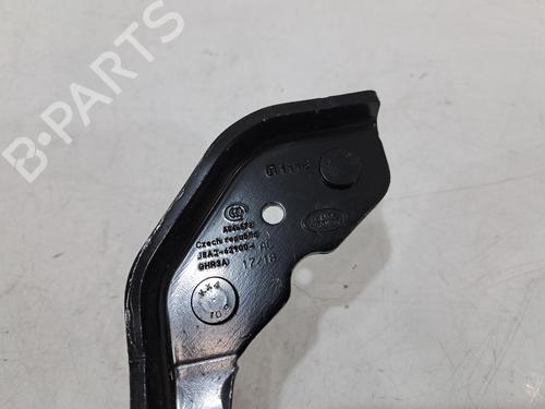 Hinge/Door check strap JAGUAR I-PACE (X590) EV400 AWD | BP29237491C146 