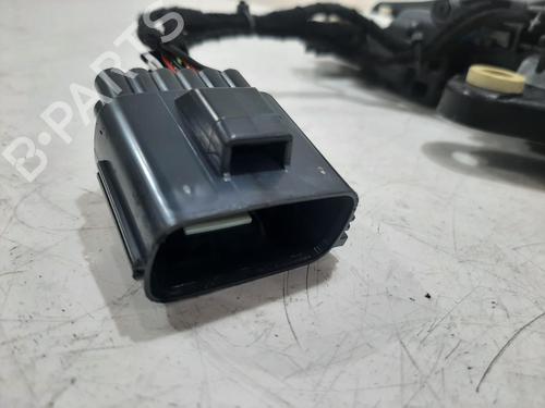 Exterior handle JAGUAR I-PACE (X590) EV400 AWD | BP30495499C122 