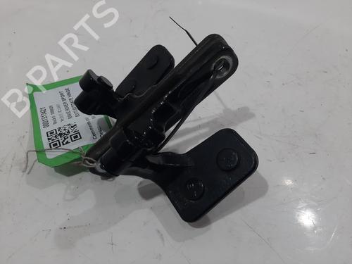 Hinge/Door check strap LAND ROVER RANGE ROVER SPORT I (L320) 3.0 D 4x4 | BP29444451C146 